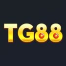 TG8811 com – Giới thiệu bạn bè nhận thưởng hoa hồng